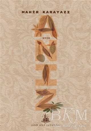 Anız - Yitik Ülke Yayınları