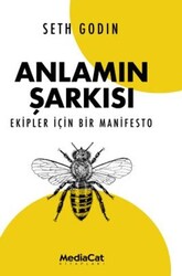 Anlamın Şarkısı - MediaCat Kitapları