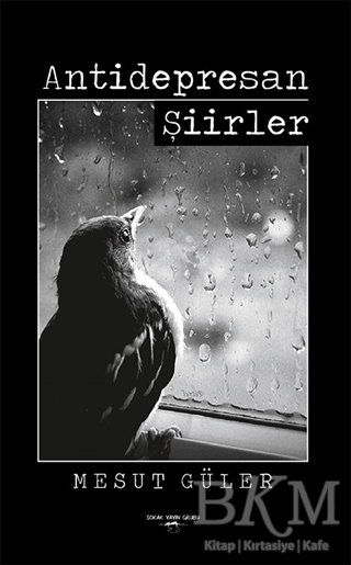 Antidepresan Şiirler - Sokak Kitapları Yayınları