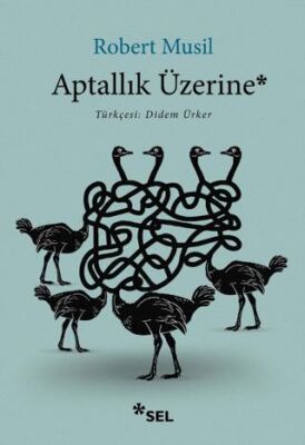 Aptallık Üzerine - 1
