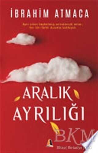 Aralık Ayrılığı - Akis Kitap