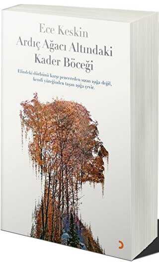 Ardıç Ağacı Altındaki Kader Böceği - Cinius Yayınları