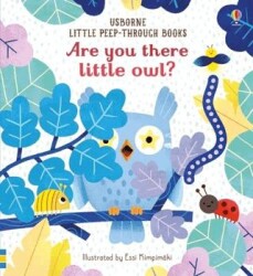 Are you there little Owl? - Usborne