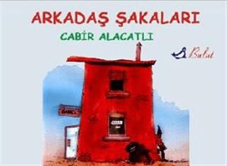 Arkadaş Şakaları kapağı
