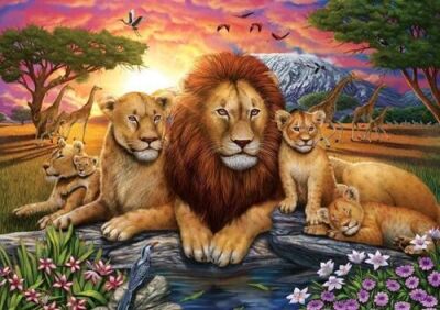 Art Puzzle Aslan Ailesi 1000 Parça Puzzle 5221 - 2