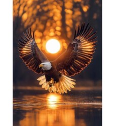 Art Puzzle Güneşin Kanatları 1000 Parça Puzzle - 2