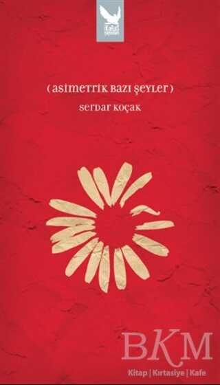 Asimetrik Bazı Şeyler - İkaros Yayınları