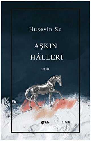 Aşkın Halleri - Şule Yayınları