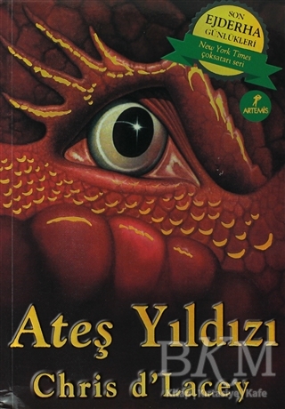 Ateş Yıldızı - Ejderha Günlükleri - Artemis Yayınları