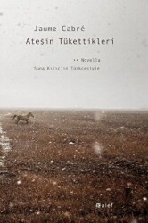 Ateşin Tükettikleri - Alef Yayınevi