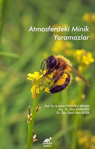 Atmosferdeki Minik Yaramazlar - Paradigma Akademi Yayınları