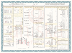 Avamil Şeması Renkli - Ahıska Yayınevi