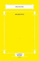 Awakening - Capitol Books