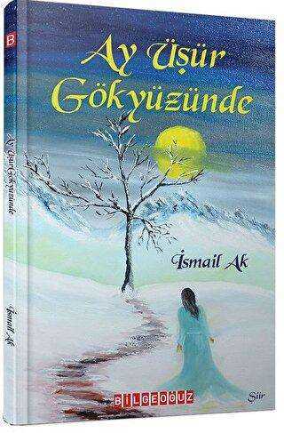 Ay Üşür Gökyüzünde - Bilgeoğuz Yayınları