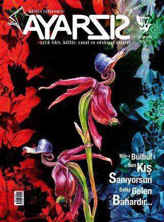 Ayarsız Aylık Fikir Kültür Sanat ve Edebiyat Dergisi Sayı: 57 Kasım 2020