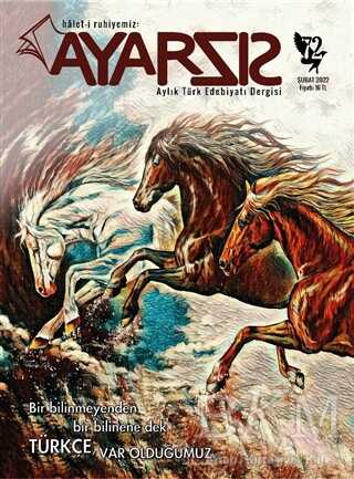 Ayarsız Aylık Türk Edebiyatı Dergisi Sayı: 72 Şubat 2022