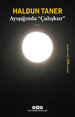 Ayışığında Çalışkur - Yapı Kredi Yayınları