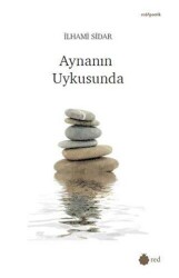 Aynanın Uykusunda - Red Yayınları