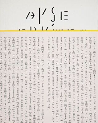 Ayşe Erkmen: Whitish - 1