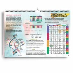 AYT Biyoloji Poster Notlar - KR Akademi Yayınları