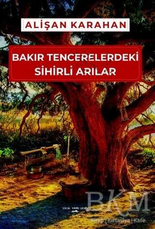 Bakır Tencerelerdeki Sihirli Arılar - Sokak Kitapları Yayınları