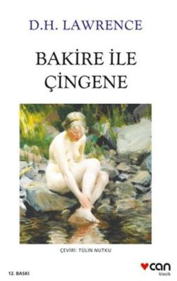 Bakire ile Çingene kapağı