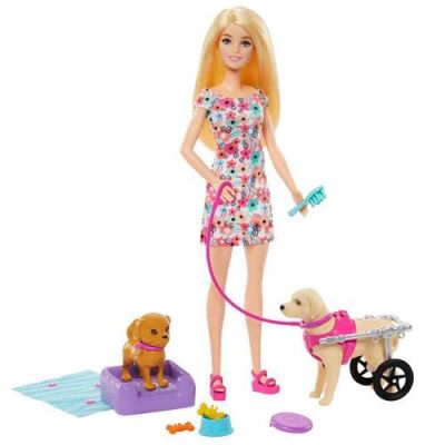 Barbie Ve Engelli Köpeği Oyun Seti Htk37 - 2