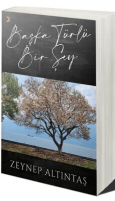 Başka Türlü Bir Şey - 1