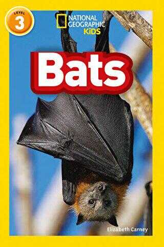 Bats Readers 3
