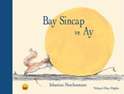 Bay Sincap ve Ay - Kuraldışı Yayınevi