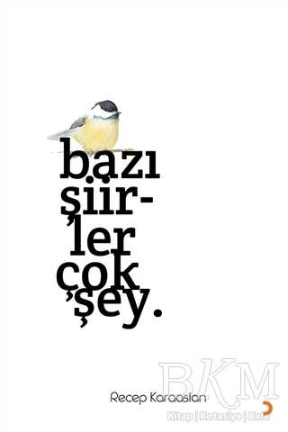 Bazı Şiirler Çok Şey. - Cinius Yayınları