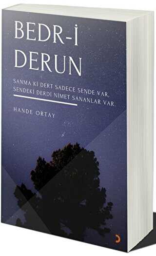 Bedr-i Derun - Cinius Yayınları
