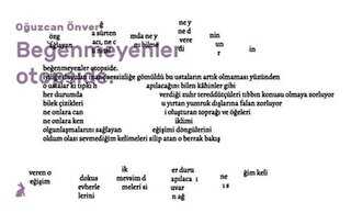 Beğenmeyenler Otopside - Kaplumbaa Kitap