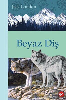 Beyaz Diş kapağı