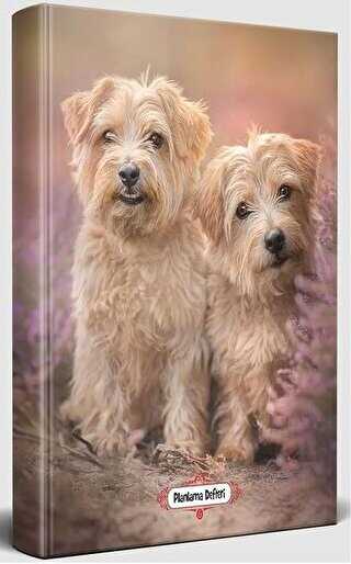 Beyaz İkili - Süresiz Planlama Defteri - Halk Kitabevi