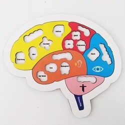 Beynimi Öğreniyorum Eğitici Öğretici Geliştirici Ahşap Sağlıklı Oyuncak - 2