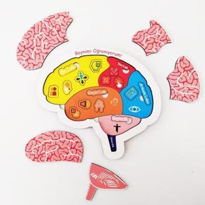 Beynimi Öğreniyorum Eğitici Öğretici Geliştirici Ahşap Sağlıklı Oyuncak
