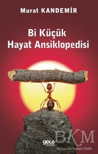 Bi Küçük Hayat Ansiklopedisi - Gece Kitaplığı