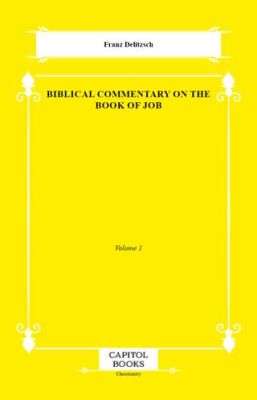 Biblical Commentary on the Book of Job - 1