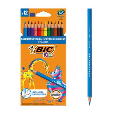 Bic Evolution Kuru Boya 12`li - 1