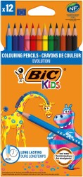Bic Evolution Kuru Boya 12`li - 2