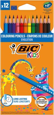 Bic Evolution Kuru Boya 12`li - 2