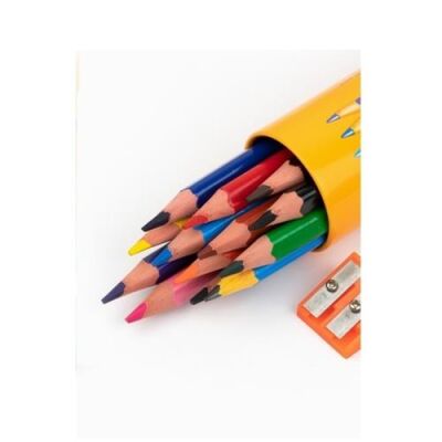 Bic Evolution Kuru Boya Kalemi 12+1 Renk Metal Tüp - 2