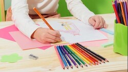 Bic Evolution Kuru Boya Kalemi 24`lü Kutu - 3