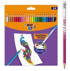 Bic Kids Evolution Silinebilir Kuru Boya Kalemi Kutu 24 Renk - Bic