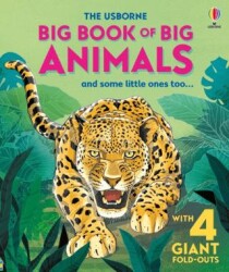 Big Book of Big Animals - Usborne