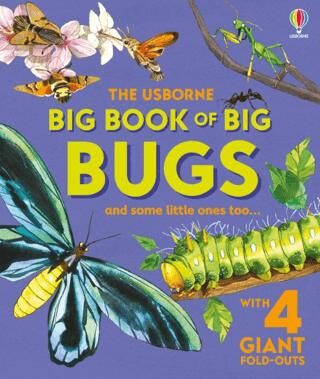 Big Book of Big Bugs - 1