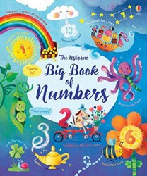 Big Book of Numbers - Usborne