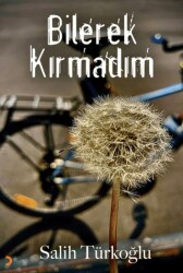 Bilerek Kırmadım - Cinius Yayınları