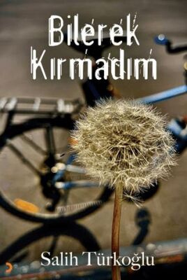 Bilerek Kırmadım - 1
